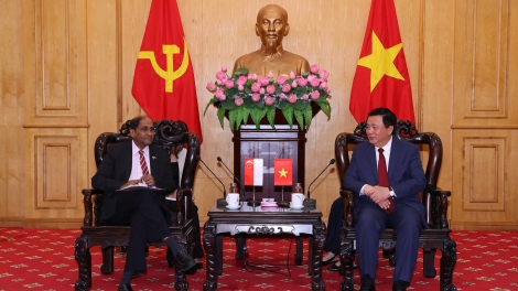 Ông Nguyễn Xuân Thắng tiếp và làm việc với Đại sứ Singapore và Đại sứ Ireland tại Việt Nam