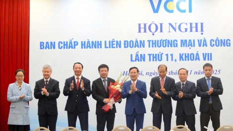 Ông Hồ Sỹ Hùng được bầu làm Chủ tịch VCCI