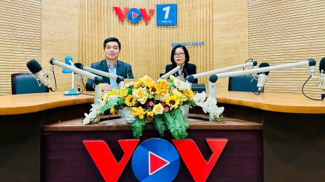 Bệnh giun đũa ở chó mèo – Nguy cơ lây nhiễm và giải pháp phòng ngừa.