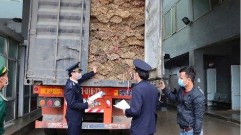 Hải quan Khu vực XI: hướng tới hải quan thông minh năm 2030