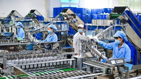 Doanh nghiệp xanh – Truyền cảm hứng phát triển bền vững