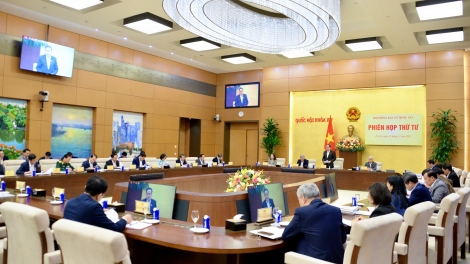 Bản tin 15h 15/12/2025