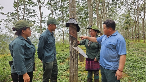 VRG – Vững gốc Đảng, xanh hóa kinh tế, bền lòng biên cương