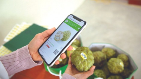 Ninh Bình: Doanh nghiệp nông nghiệp tham gia bán hàng trên các sàn thương mại điện tử 