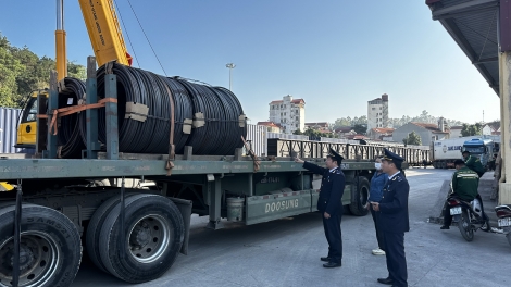 Theo dòng thời sự sáng 30/12/2025