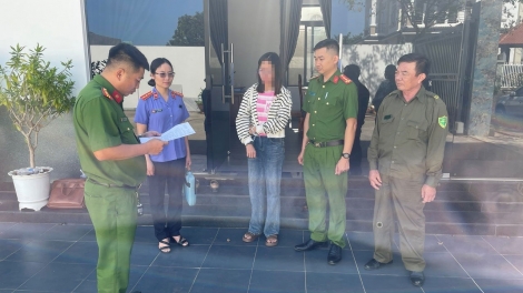 Khởi tố nữ nhân viên "cuỗm" 15 tấn điều, chiếm đoạt hơn 8 tỷ đồng công ty ở Đồng Nai