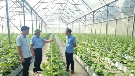 Nâng cao vai trò kết nối của HTX trong thực thi chính sách, xây dựng nông thôn mới (28/12/2025)