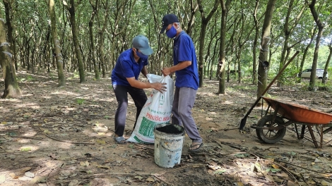 Đảng ủy VRG dẫn dắt xanh hóa sản xuất, phát triển bền vững