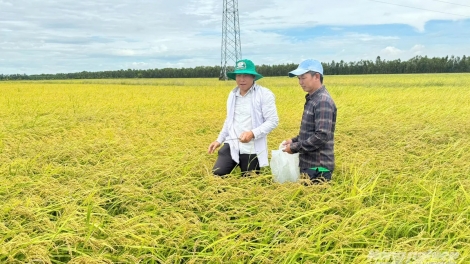 An Giang tăng cường giảm nghèo bền vững vùng biên