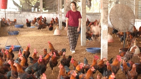 Bắc Ninh: không để công tác giảm nghèo gián đoạn sau sáp nhập