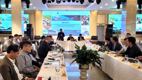 Chủ động giám sát, dự báo hạn hán cho khu vực Tây Nguyên