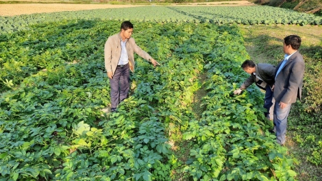 Kinh tế tập thể, HTX trong Chương trình giảm nghèo: những nút thắt cần được tháo gỡ (19/12/2025)