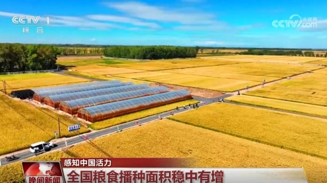 Sản lượng lương thực của Trung Quốc năm 2025 đạt mức cao kỷ lục