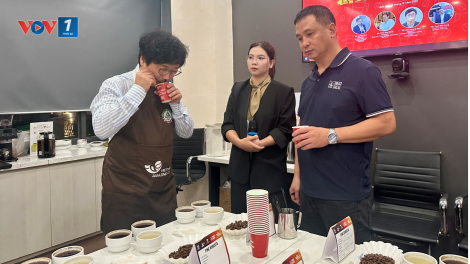 Hợp tác thúc đẩy phát triển cà phê đặc sản vào thị trường Hàn Quốc
