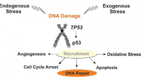 Bản tin 15h 12/11/2025