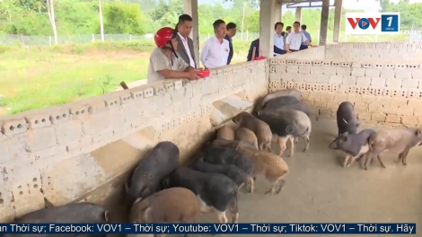 Giảm nghèo ở vùng biên giới Nam Giang, Quảng Nam