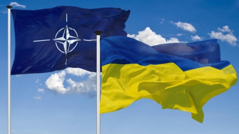 Ukraine có thể từ bỏ mục tiêu gia nhập NATO – tìm kiếm lối thoát cho xung đột