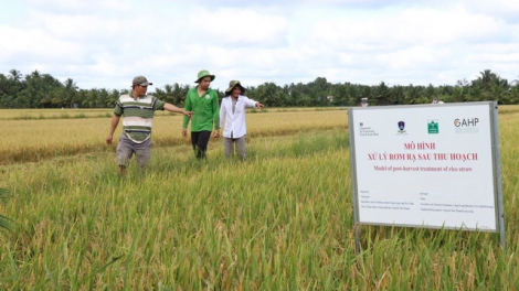 Khi nông dân làm chủ “công nghệ” xanh