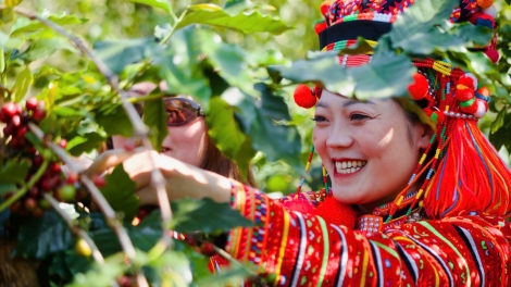 Hướng tới trang trại nông nghiệp xanh, bền vững và hiệu quả (10/12/2025)