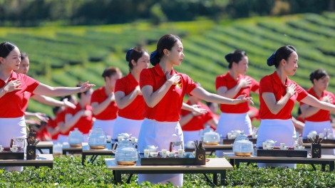 Khai mạc Lễ hội Trà Quốc tế: Quảng bá thương hiệu trà Việt, thúc đẩy hợp tác toàn cầu