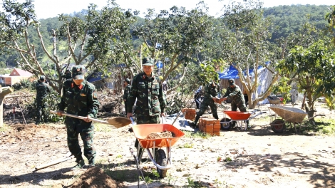 Lâm Đồng: Nhiều lực lượng thực hiện "Chiến dịch Quang Trung" làm nhà giúp dân