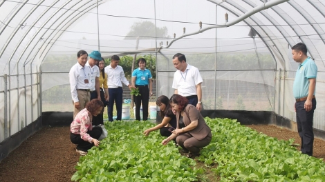 Kinh tế tập thể – trụ cột bền vững trong xây dựng nông thôn mới (27/12/2025)