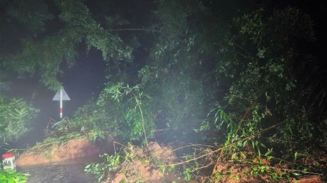 Sạt lở QL28 đoạn qua đèo Gia Bắc khiến giao thông ách tắc hoàn toàn