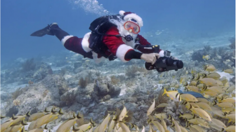 Theo dòng thời sự chiều 21/12/2025