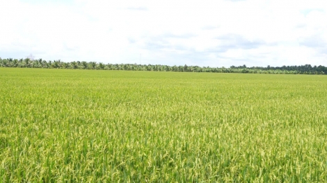 Khi phụ nữ nông thôn trở thành “người gác trời”