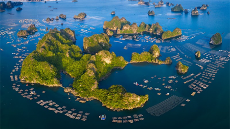 Biển đảo Tổ quốc trong văn học nghệ thuật (1/12/2025)