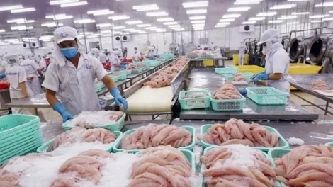 Bản tin 15h 3/12/2025