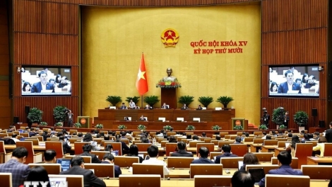 Thời sự12h 5/12/2025: Quốc hội thảo luận Chương trình mục tiêu quốc gia về nông thôn mới