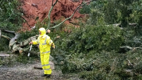 Theo dòng thời sự sáng 11/12/2025