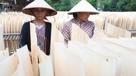 Không ai bị bỏ lại phía sau – hướng tới công bằng trong tiếp cận an sinh