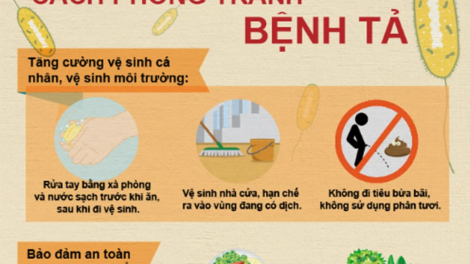 Phòng ngừa, điều trị bệnh tả ở người