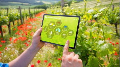 Định hình một nền nông nghiệp số để phát triển