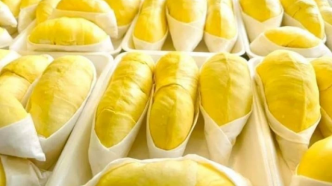 Lô sầu riêng đông lạnh đầu tiên tới Trung Quốc- Cơ hội cho nông dân và nhà xuất khẩu Indonesia