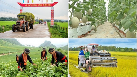 Theo dòng thời sự sáng 5/12/2025