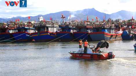 Xây dựng phần mềm nhắc nhở ngư dân bổ sung giấy tờ cho tàu cá trước khi ra khơi