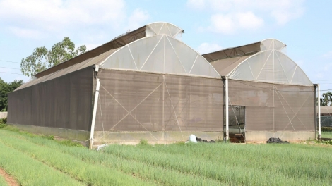 Nhiều hợp tác xã ở Sơn La tích cực chuyển đổi số