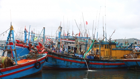 Gỡ thẻ vàng EC: quyết tâm phải cao, nỗ lực phải lớn, hành động phải quyết liệt (15+16/12)