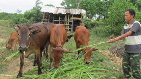 Thanh Hóa: người dân là trung tâm, chủ thể thực hiện Nghị quyết