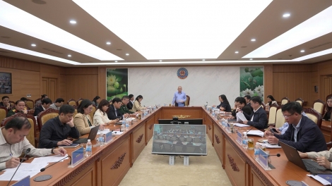 Bản tin 15h 4/12/2025