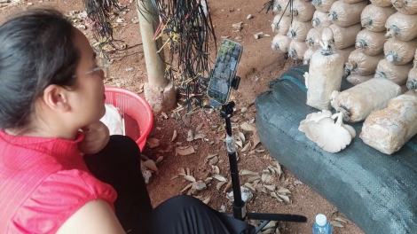 Giải pháp gỡ khó về nguồn vốn cho hợp tác xã