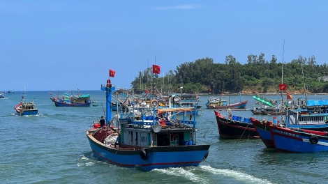 Bài 2: Từ “thẻ vàng” đến “cửa xanh”: kiến tạo nghề cá bền vững