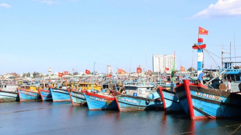 “Chống khai thác IUU - Từ “thẻ vàng” đến “cửa xanh”