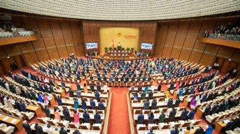 Theo dòng thời sự sáng 1/1/2026