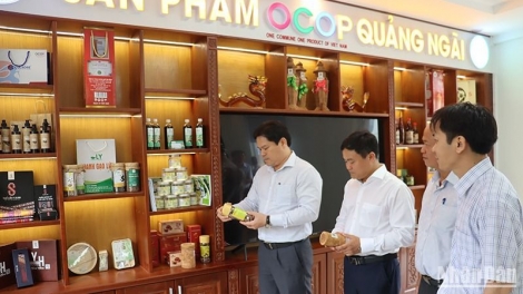 Quảng Ngãi: Liên kết sản xuất - tiêu thụ: Đòn bẩy nâng tầm sản phẩm OCOP (07/01/2026)