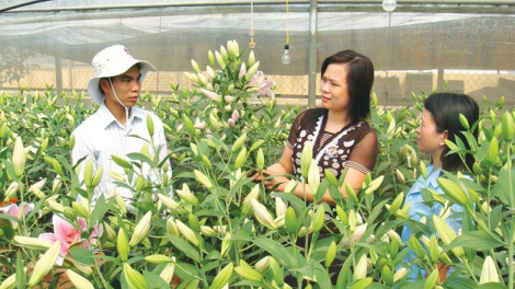 Nông dân Lạng Sơn thích ứng nhanh với công nghệ số