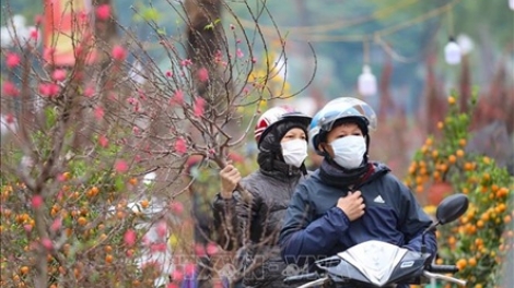 Thời tiết ngày 1/2/2026: Bắc Bộ trời rét, Trung Bộ có mưa dông